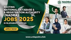 Exciting NETU Jobs 2025 Pakistan