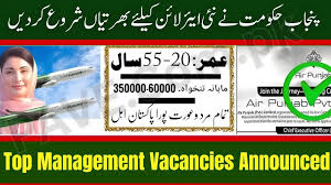 Air Punjab Pvt Ltd Leadership Hiring 2025