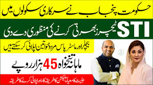 Punjab STI Internships 2025 Apply Online for School Teaching