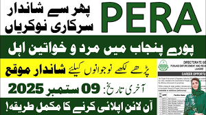 PERA Punjab Jobs 2025