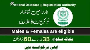 NADRA Junior Executive Jobs 2025