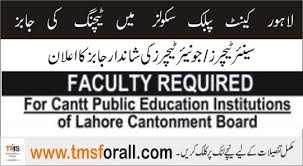 Principal Job Opportunity at Cantonment Public High School & College for Boys, Sarwar Road Lahore 2025