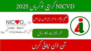 NICVD Karachi Head of Security Job 2025