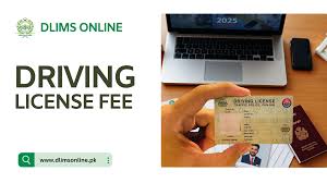 Driving License Punjab 2025